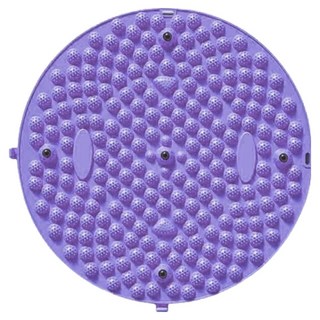 예그리나 홈트레이닝 건강 발지압판 패드 38 x 38 cm, 1개, 퍼플