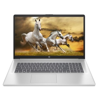 HP 2025 노트북 17 코어i3 인텔 12세대, Natural Silver, 256GB, 8GB, WIN11 Home, 17s-cu2006TU Win11