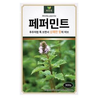 다농 씨앗애 페퍼민트 씨앗 300p, 1개