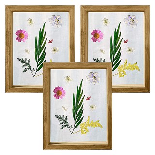 上手家居 透明玻璃立體木質相框, 6吋 16 x 12 x 4cm, 原木色, 3個