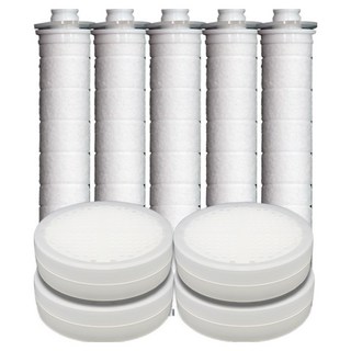 이온폴리스 대림바스 염소제거 3중 샤워기 헤드필터 4p + 바디필터 화이트 5p 세트, 1개, 무향