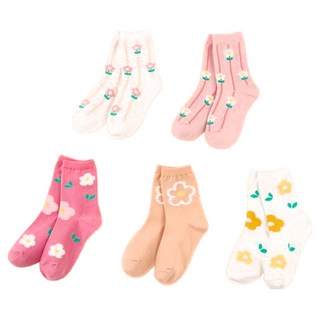 BASE ALPHA ESSENTIALS 兒童棉襪5件組