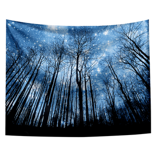 半島良品 居家裝飾掛布 附無痕釘2個 + 倒鉤夾2個, 仰望星空, 1件