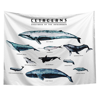 半島良品 居家裝飾掛布 附無痕釘2個 + 倒鉤夾2個, 鯨豚圖, 1件