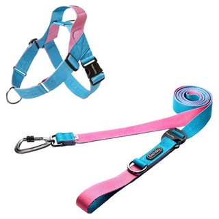 분독 강아지 플레이리쉬 320cm 카라비너 0109 하네스 세트, 아쿠아핑크, 1세트