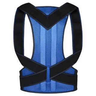 TCR姿勢帶 藍色 L, 1個