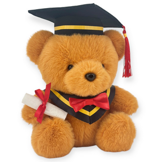 AllBeMine 歐比邁 畢業熊 7吋 新款毛絨 深棕色 畢業禮物, 20cm, 1個