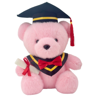 AllBeMine 歐比邁 畢業熊 新款毛絨 1088058-1 7吋, 20cm, 粉紅色, 1個