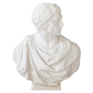 Daily On 漂亮迷你石膏像 A 布魯斯特