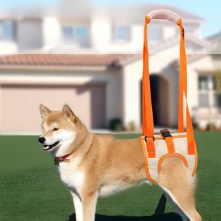 蕉蕉購物 狗狗後腿輔助帶, 橙色, 1個