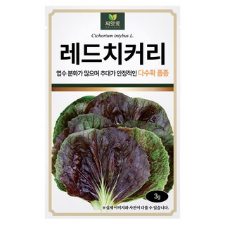 다농 씨앗애 레드치커리 씨앗 3g, 1개