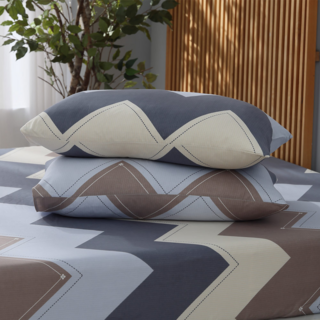 Ishur 伊舒爾 極致雲絲棉枕套