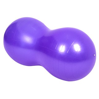 The One 環保防爆瑜珈花生球 附打氣裝置, 紫色