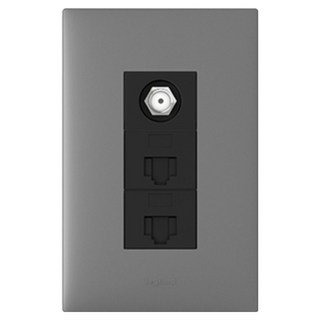 Legrand 羅格朗 阿佩拉 鎂色 電視 網路 有線電視 + 電視 + 網路 埋入式模組, 1個