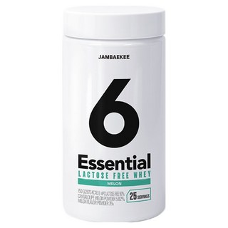 Jambaekee Essential 無乳糖乳清蛋白粉 哈密瓜口味, 750g, 1個
