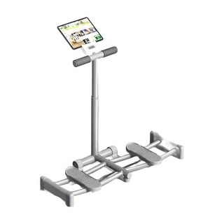 MICHAEL FITNESS 麥克健身 滑雪機 計時/計數/計卡路里/可調扶手/折疊 附手機架, 1台, 灰色