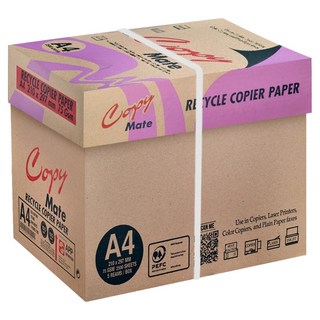 EXXO Copymate 影印紙 75g, A4, 2500個