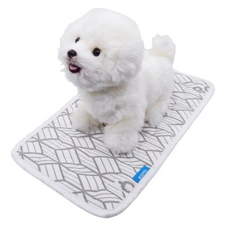 바디큐 강아지 듀라론 항균 냉감패드, 그레이, 1개