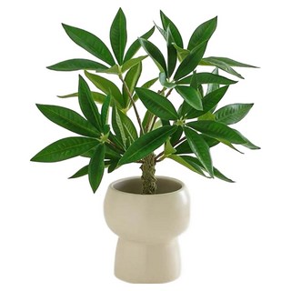 FLORAL M 仿真綠植 財富滿滿發財樹, 1個, 綠色
