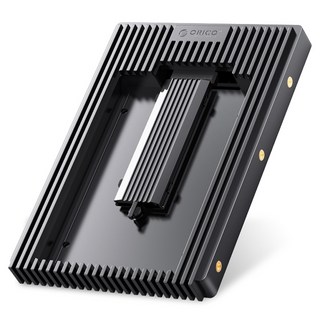 ORICO 奧睿科 NGFF SATA SSD 3.5吋 SATA3 轉換架 6Gbps D2NS-6G, 1個