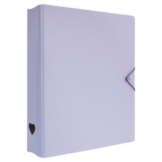 珠友文化 A4 D型夾集卡冊 有洞款 4孔, 紫色, 1個