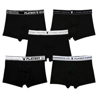 플레이보이 에디션 5매입 세트