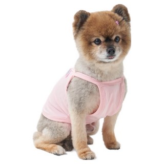 네오핏 강아지 쿨링 크롭티, 핑크, 1개