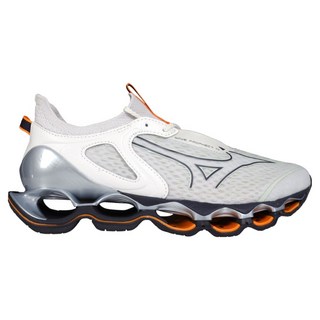Mizuno 美津濃 WAVE PROPHECY 14 男款慢跑鞋