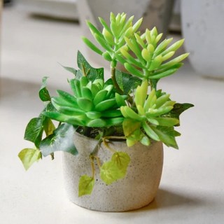 Meric Garden 高仿真多肉植物療癒手工水泥小盆栽 福娘石蓮特製款, 1個, 綠色
