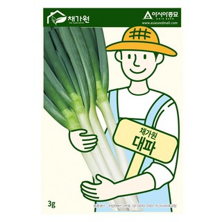 아시아종묘 대파 씨앗 3g, 1개
