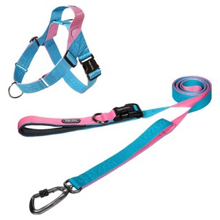 분독 강아지 플레이 카라비너 리쉬 2m + 0109 하네스 세트, 아쿠아핑크, 1세트