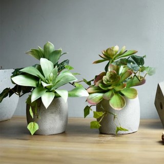 Meric Garden 高仿真多肉植物療癒手工水泥小盆栽, 白佛甲 + 石蓮, 2個