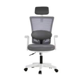 BareunLab 姿勢矯正學習辦公電腦椅 頭枕腰靠款, 均碼, 白色 + 深灰色