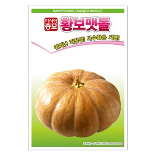 아시아종묘 씨앗 호박 황보맷돌 25립, 1개