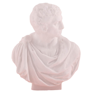 Daily On 小型超迷你石膏像 布魯圖斯石膏像