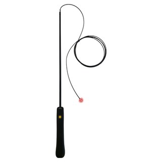 펫케어 고양이 루미위스커 LED 낚시대, 블랙, 1개