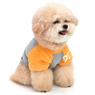 키니키니 강아지 위 아 해피 반팔티, 그레이, 1개