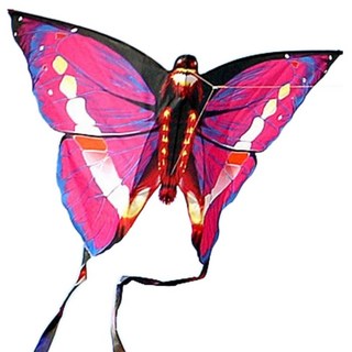 大型蝴蝶風箏 粉紅色A套組 W99002N, 1套