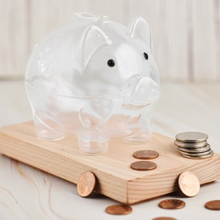 命運好好玩 諸事大吉錢母撲滿 附錢母 8110677, 透明色, 1個