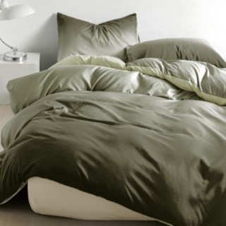 Aaron艾倫生活家 石墨烯羊毛水洗棉被/冬被 台灣製 2kg, 迷霧綠