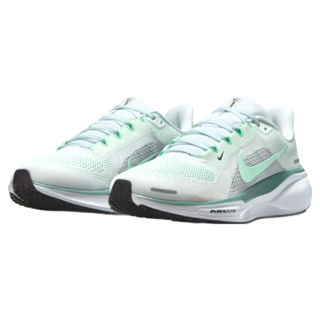 NIKE 耐吉 女款 W AIR ZOOM PEGASUS 41 運動鞋 FD2723-113