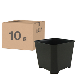 蔬菜工坊 多肉透氣四方矮盆, 10個, 黑色