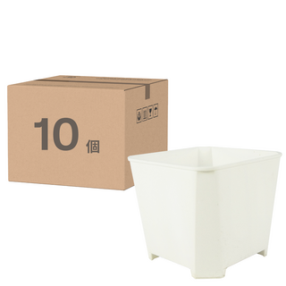 蔬菜工坊 多肉透氣四方矮盆, 10個, 白色
