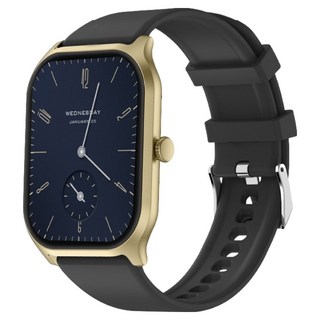 Ergotech 人因科技 ERGOLINK 2.01吋 光脈IPS智慧腕錶 SW212, 藍牙, 黑曜金