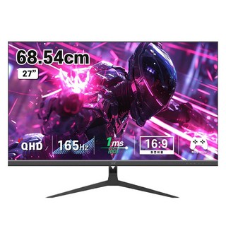 디엑스 QHD 165Hz 게이밍 컴퓨터 모니터, 69cm, DX270QHD165(일반)