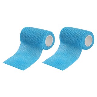 小麥購物 專用運動貼布 L1483 天藍色, 2個