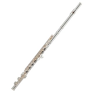 GERMAN FAGOTT 長笛 德國製 + 硬質樂器盒, 1套, FL-301, 混和顏色