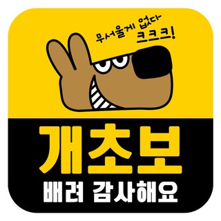 Mungkiwoldeu 高亮度反光彩色可拆卸磁吸式車貼 新手駕駛 140 x 140 mm RMD, 1個, RMD_003