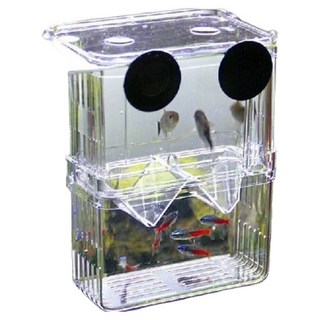 굿라이프 구피 부화통, 1개