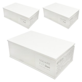 IP System 小物品收納盒3件組 低 041262, 1套, 白色 + 透明色